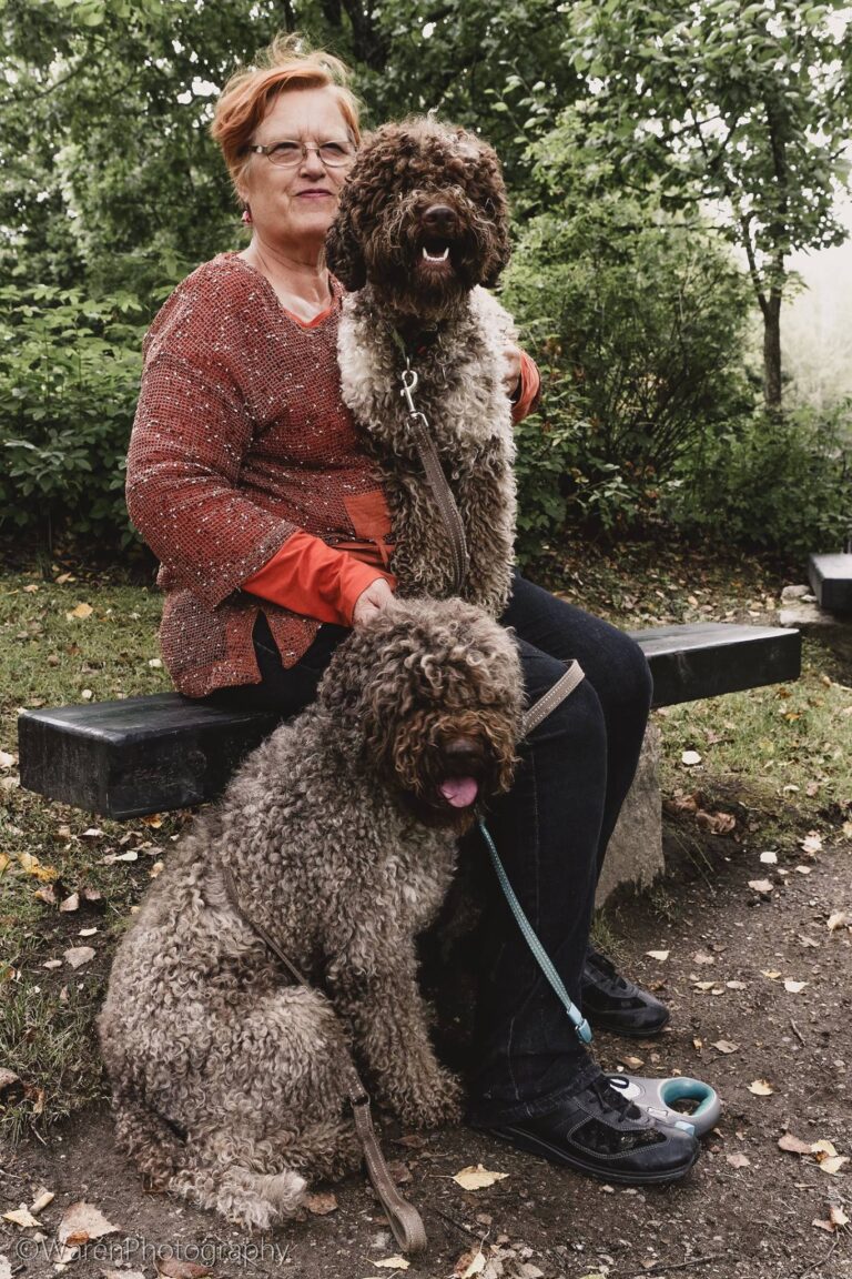 Lagotto romagnolo