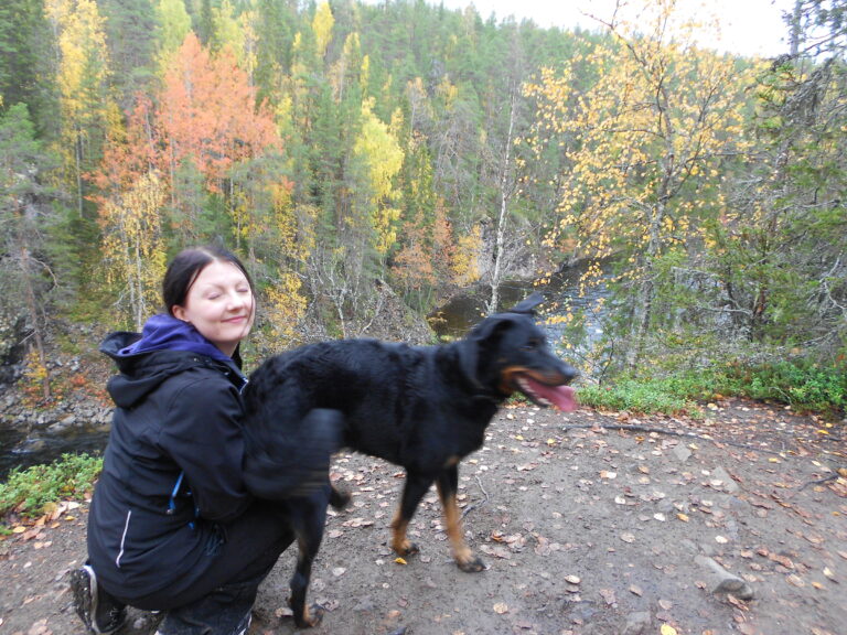 Beauceron