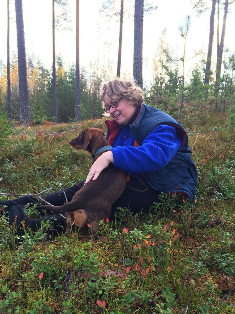 Karkeakarvainen mäyräkoira