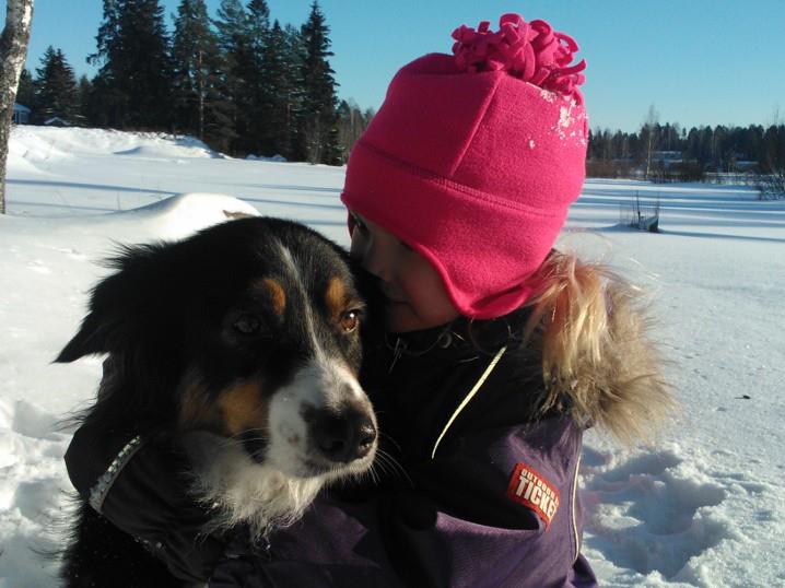 Australian Shepherd