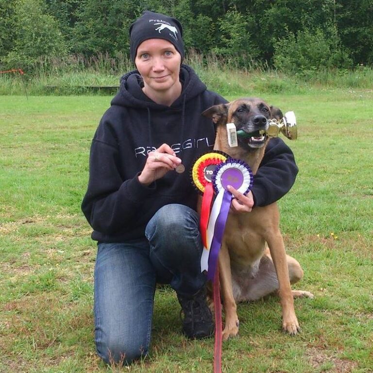 Belgianpaimenkoira malinois